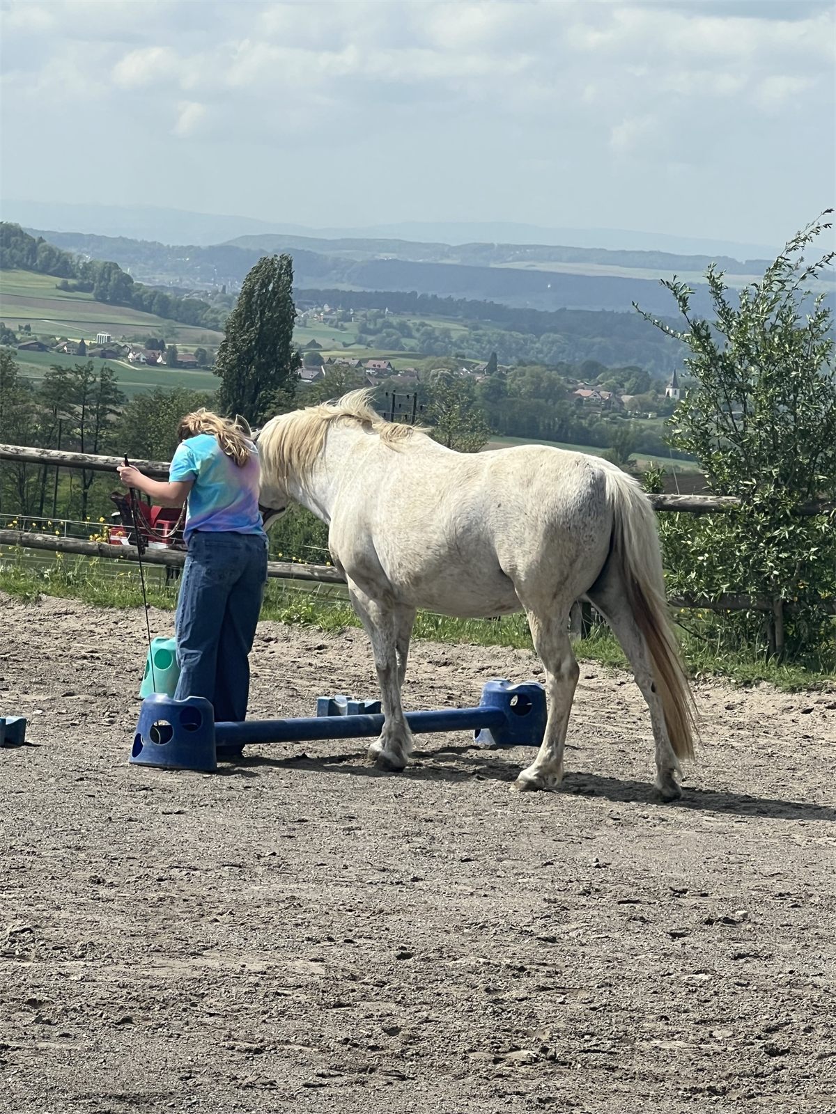 Bodenarbeit auf dem Platz