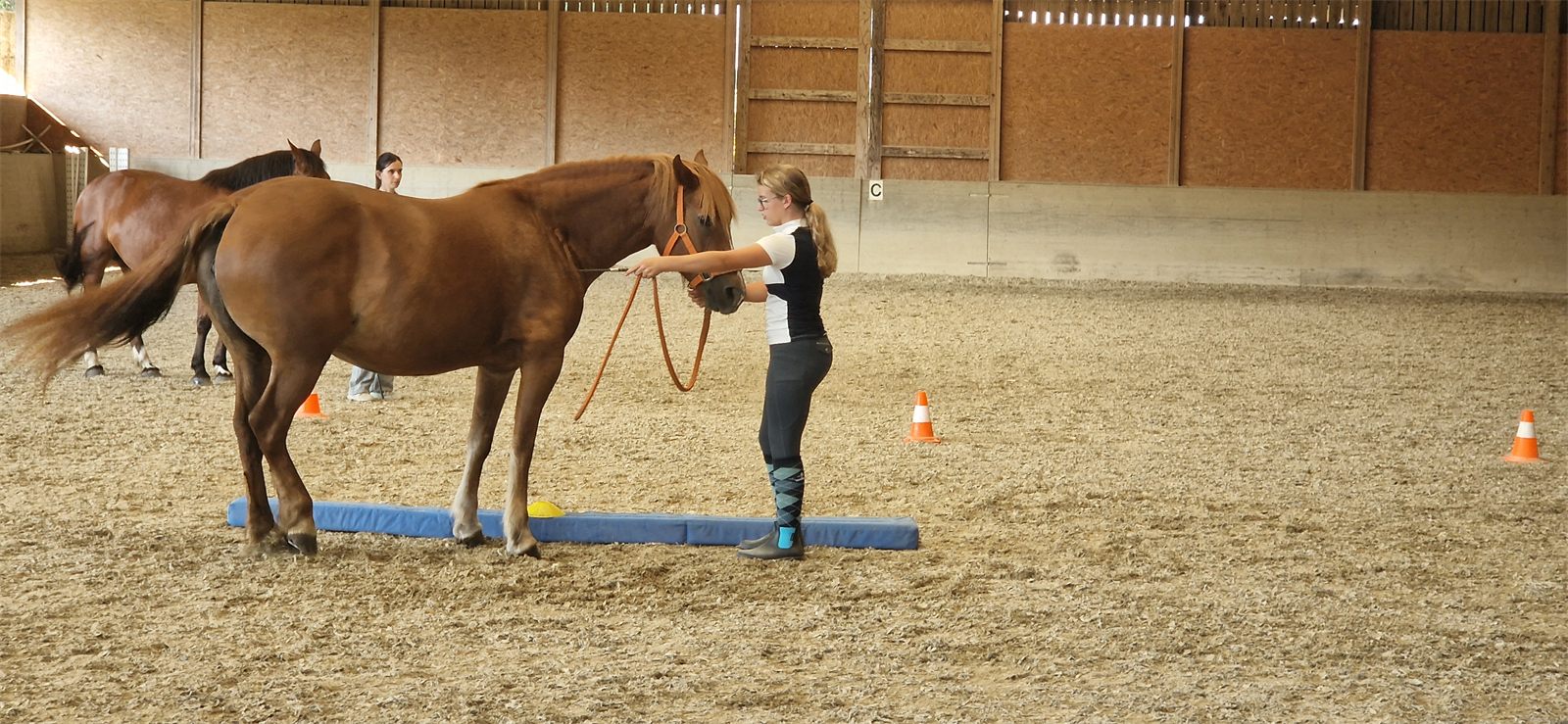 Giulia bei der Bodenarbeit mit Pferd