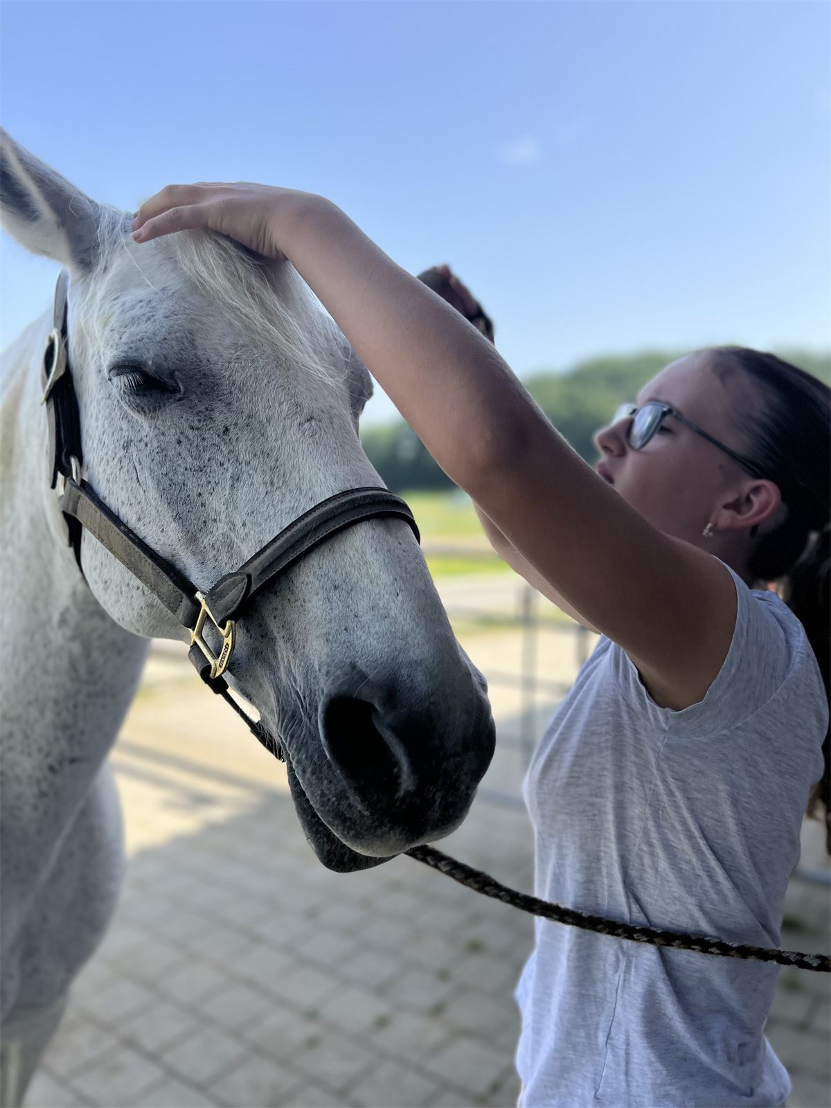 Giulia streichelt einen Schimmel